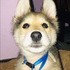 Meet your Posher, Maria